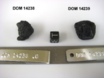Lab Photo of Sample DOM 14239 Displaying West Orientation